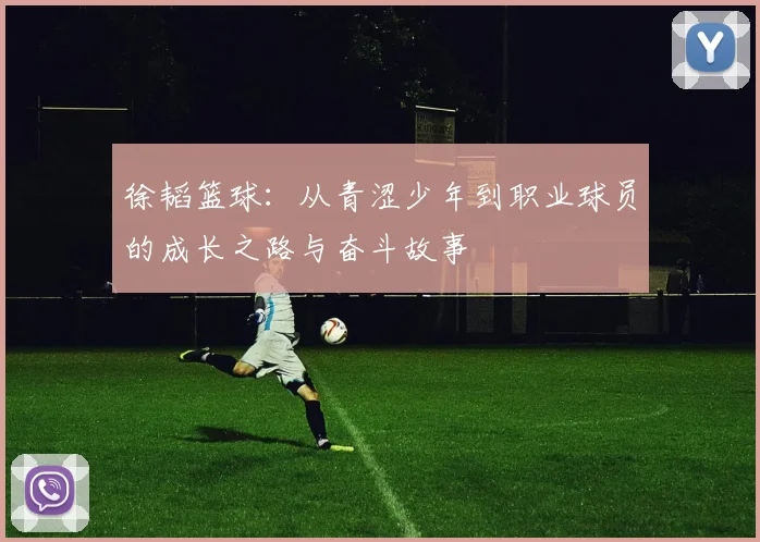 徐韬篮球：从青涩少年到职业球员的成长之路与奋斗故事