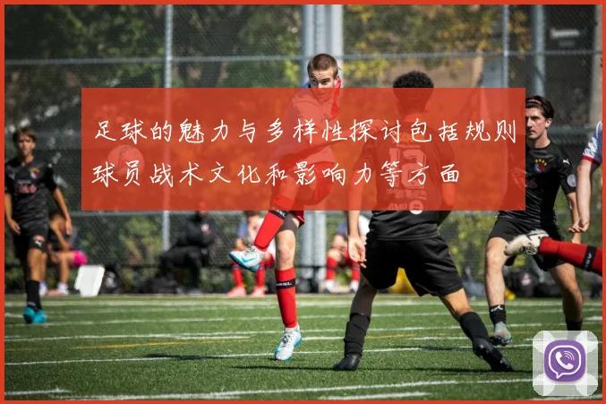 足球的魅力与多样性探讨包括规则球员战术文化和影响力等方面