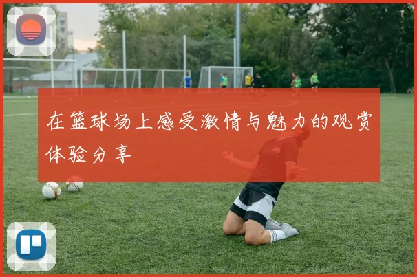 在篮球场上感受激情与魅力的观赏体验分享