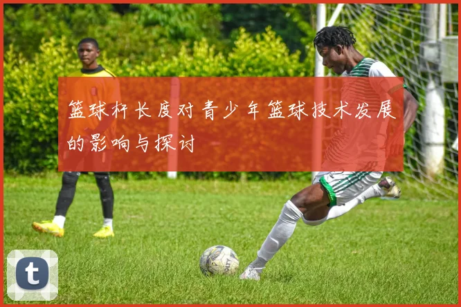篮球杆长度对青少年篮球技术发展的影响与探讨